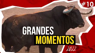 🤩 GRANDES MOMENTOS de 2022 · Décima parte