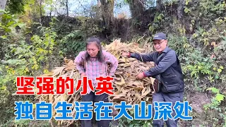 包哥带着巨款看望小英，父母不学好苦了孩子，但是她很坚强活着【包哥量地球】