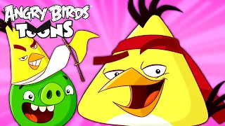Angry Birds Toons Season 2 | Ep. 11 to 15