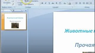 Microsoft Office Power Point 2007 1й видеоурок.mp4