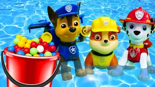 PAW Patrol full episodes in English - New Paw Patrol episodes & Paw Patrol toys