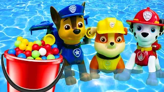 PAW Patrol Toys in English - New Paw Patrol Toys video