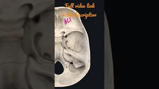 Subdivisions of the Cranial fossa & The coverings of the brain #Anatomy #mbbs #education