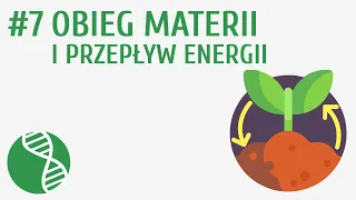 Obieg materii i przepływ energii #7 [ Ekologia ]