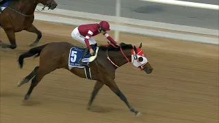 FOREVER YOUNG sets up Kentucky Derby tilt with UAE Derby glory