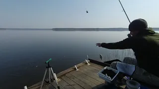 Весенняя густера на Чигиринском водохранилище.