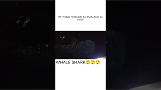 WHALE SHARK😲😲please support to my YouTube channel mga kapitik#shortvideo #youtubeshorts #fishing