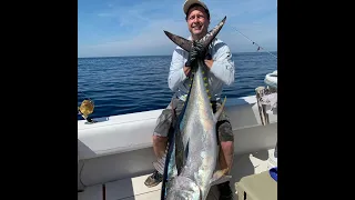 139 Bigeye tuna caught, June 2020, Chincoteague Va, Washington canyon offshore fishing