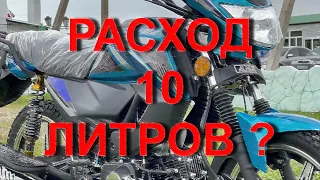 Расход топлива на 100км.  Мопед Альфа RS 12 champ