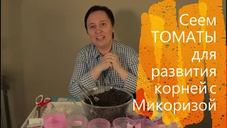 Сажаем Томаты с Микоризой как Профи. Рассада с хорошими корнями, здоровая  Технологии посева,