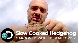 How Does A Slow Cooked Hedgehog Taste?  | Marooned with Ed Stafford S2E1