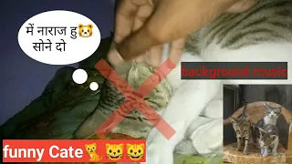 #meme_ringtone #background_sound #viral_cate funny meme ringtone with my Cate🐈🐱