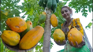 Fresh papaya and cook food in my countryside - Polin lifestyle