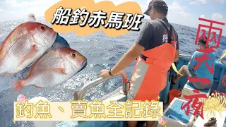 「強強要釣魚」船釣赤馬班兩天一夜能夠賺多少錢？費用大公開！自釣自售！內有小技巧教學分享#釣魚 #船釣 #生餌 #賺錢 #費用 #赤馬#馬頭魚 #赤宗#白鐵線#深海 #賣魚達人 #賣魚 #記錄真實生活