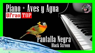 🥇 PIANO y sonidos de la ✅ NATURALEZA | Pantalla Negra | Dormir en 5 minutos