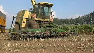 Krone BigX 650 met 12 rij Kemper 390 - Loonbedrijf Wemekamp aan het mais hakselen (2018)