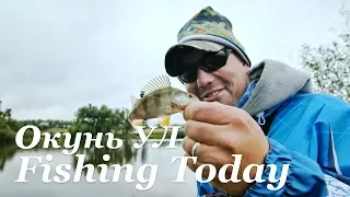 УЛ окунь - приманки, снасть, тактика ловли - Fishing Today