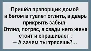 Как Прапорщик в Туалете Тряс! Сборник Свежих Анекдотов! Юмор!