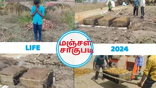 மஞ்சள் சாகுபடி 2024#happy # விவசாயம் வருமானம்???/