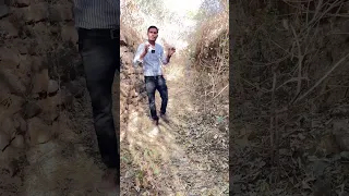 हल्दीघाटी का रियल युद्ध यहाँ हुआ था 😮