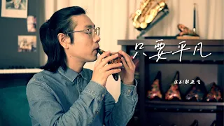 Ocarina Music 《只要平凡》献给平凡的你我他  陶笛演奏  电影《我不是药神》主题曲  悲伤催泪歌曲