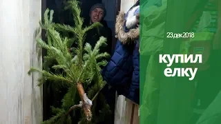 КУПИЛ ЕЛКУ К НОВОМУ ГОДУ // Настя пробует меню на 100 рублей