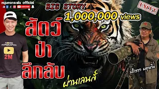 Big Story | สัตว์ป่าลึกลับผ่านเลนส์