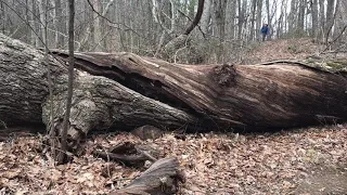 Appalachian Trail Stecoah Gap to Fontana Dam