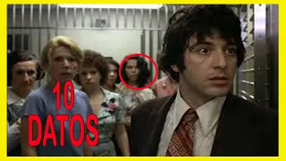 7 Curiosidades de tarde de perros ( Dog Day Afternoon) VIDEO RETRO