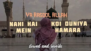 New Heart Touching Naat | Syed Hassan Ullah Hussaini | Nahi Hai Koi Duniya Mein | Slowed Reverbs