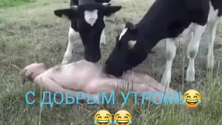 Ось це я розумію добрий раночок😂😂😂😂😂