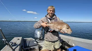 Harbour Fishing ( MANGROVE SNAPPER ) Catch N Cook - New Zealand