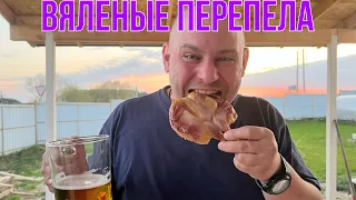 ВЯЛЕНЫЕ ПЕРЕПЕЛА / ПРОБУЕМ ВЯЛЕНЫХ ПЕРЕПЕЛОК/ ПЕРЕПЕЛКА