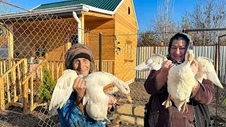 A Delicious Dish From two Ducks! | Duck Recipe | Village Life