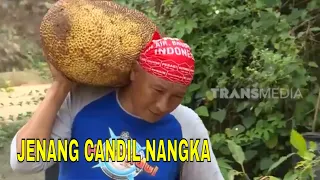 JENANG CANDIL NANGKA | JEJAK SI GUNDUL (01/04/23)