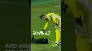 Dog interrupts soccer game, wants belly rubs #Shorts