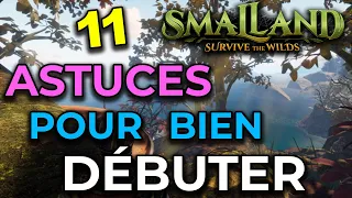 SMALLAND - 11 ASTUCES pour bien DEBUTER