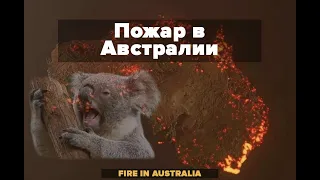 ПОЖАР в Австралии 2020 / До СЛЕЗ !!! / FIRE IN AUSTRALIA / TO TEARS