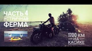 1700 км на КАСИКЕ.  ЧАСТЬ4. Устричная ферма