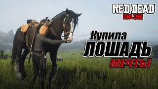 НАКОНЕЦ КУПИЛА ШАЙРА!!! | RED DEAD ONLINE | RDR 2