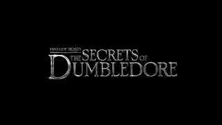 Happy Late 2nd Anniversary To Fantastic Beasts The Secrets Of Dumbledore