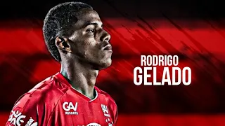 Rodrigo Gelado • Highlights • 2023 | HD