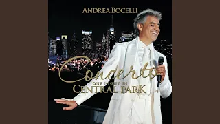 Nel blu, dipinto di blu (volare) (Live At Central Park, New York / 2011)