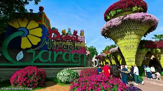 Dubai Miracle Garden 2024  4k || World's largest garden