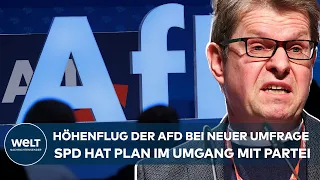 EUROPAWAHL-UMFRAGE: AFD auf Platz zwei! SPD hat Plan im Umgang mit der Partei I WELT Gespräch