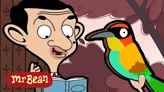 Bean and The BIRD! | Mr Bean Cartoon Season 2 | Full Episodes | Mr Bean Official