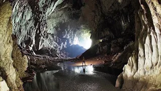 10 Hours Relaxing meditation Sape Music: The Borneo Rain forest sound