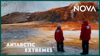 Why is this Antarctic Glacier “Bleeding?” | Antarctic Extremes