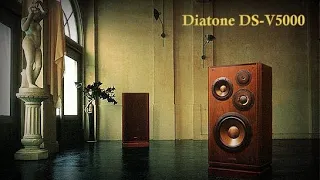 Diatone DS-V5000