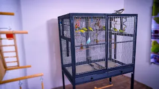 EASIEST DIY Bird Cage - Easy Project Homemade